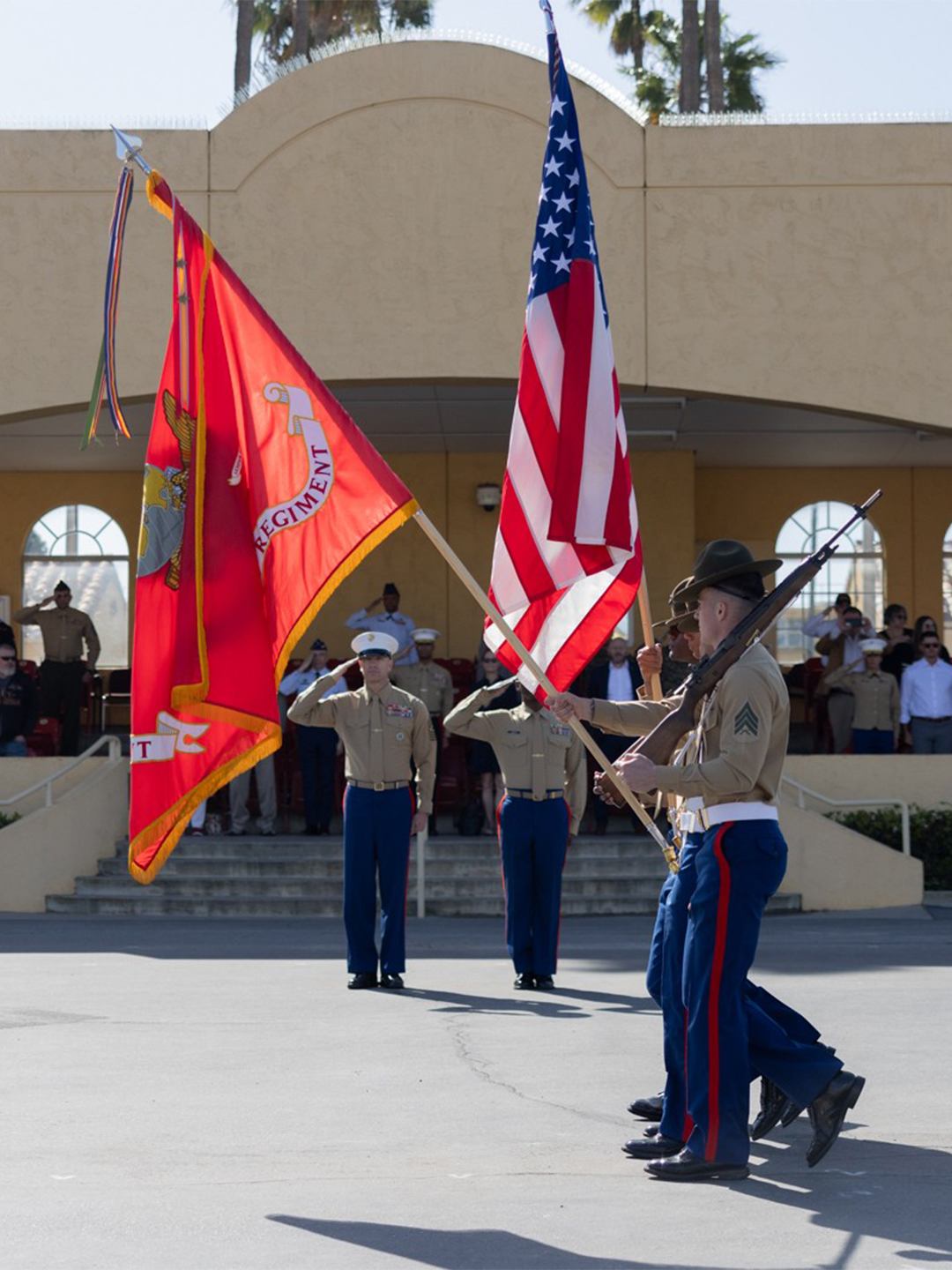 Military parade with flag bearers