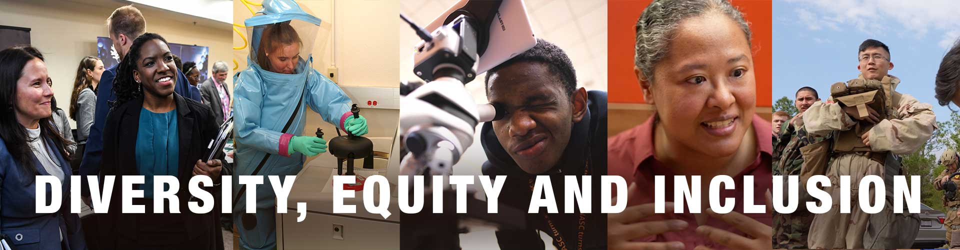 diversity banner