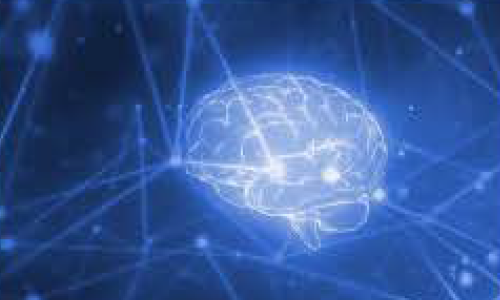 CWMD INFORMATION INTEGRATION CELL